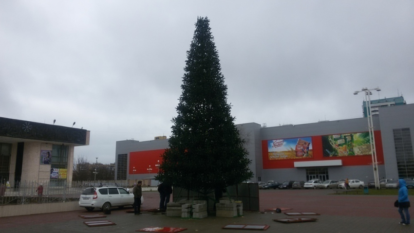 Елка в старом городе окажется на треть выше ели в новой части Волгодонска