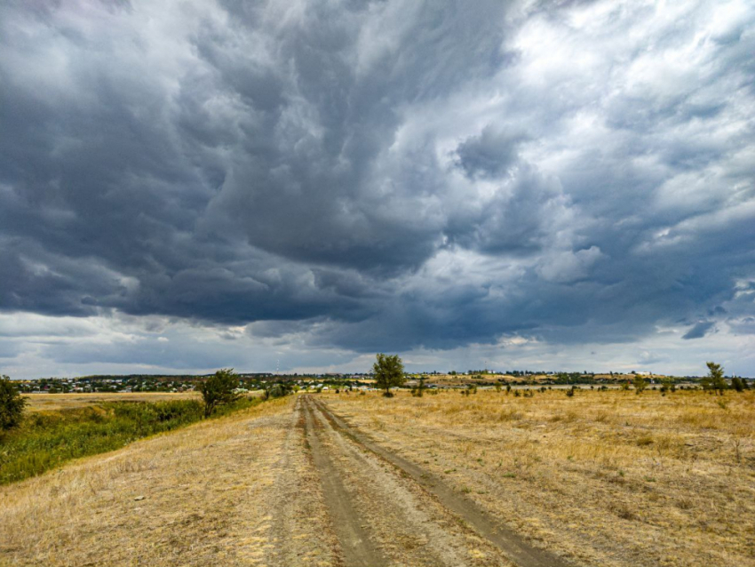 Еще не мороз, но прохладно: о погоде на 9 октября 