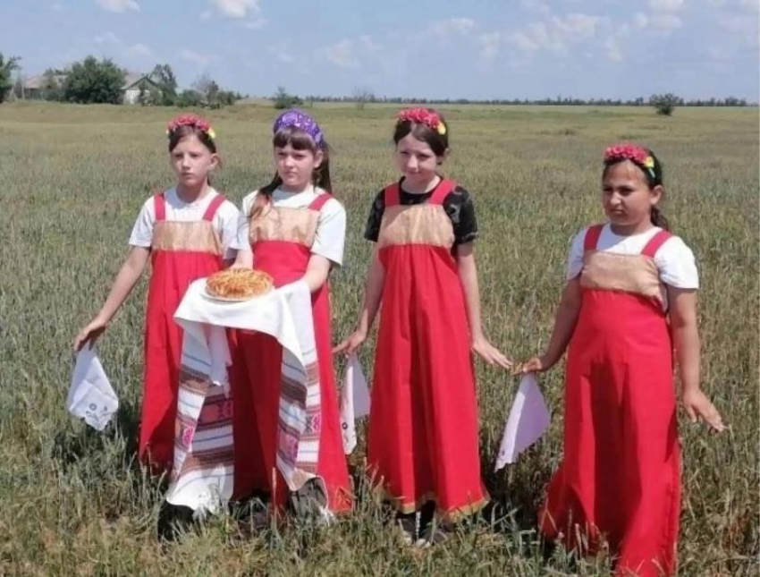 «Цена крошки хлеба»: антоновские школьники отправились в поле на День Донского поля