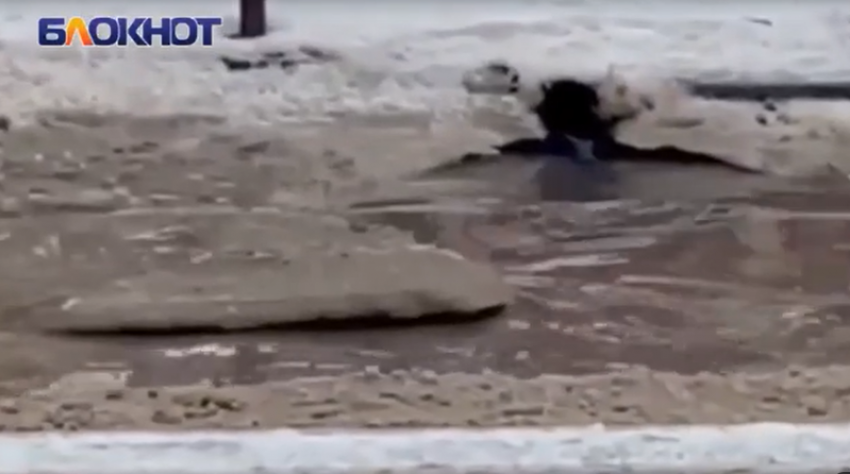 Водоканал Волгодонска отреагировал на жалобу о затоплении канализационными водами улицы Горького