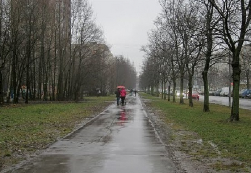 Синоптики обещают Волгодонску на выходных ветер, дожди и плюсовую температуру во второй половине дня