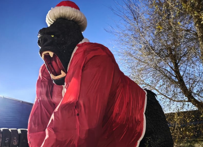 Единственный в России пятиметровый черный обезьяний Дед Мороз Кинг Конг появился в Волгодонске