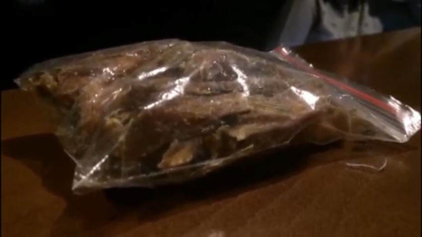 Кишащих тараканов в упакованной сушеной рыбе сняли на видео посетители пивбара в Волгодонске 