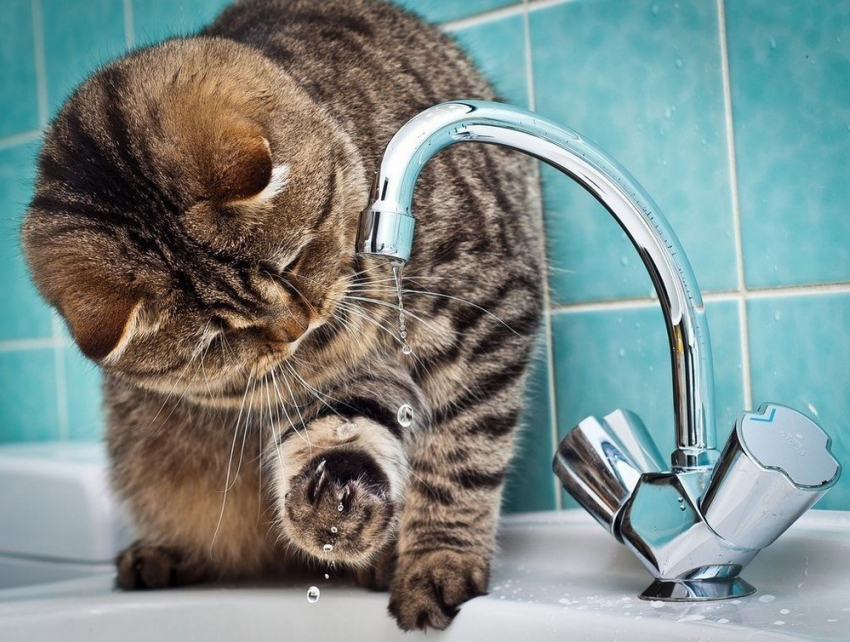 Шести домам Волгодонска прекратили подавать горячую воду