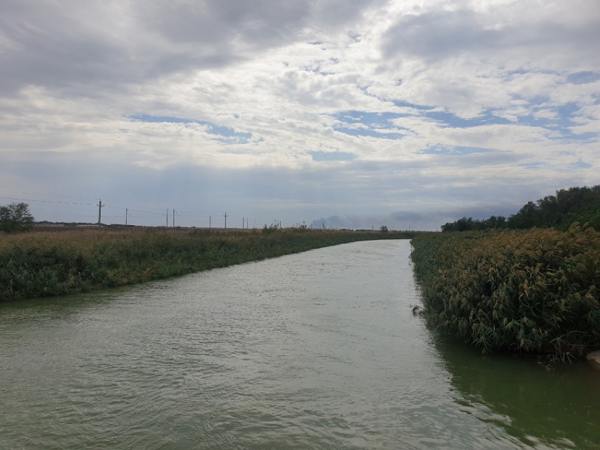 Рисоводы потребовали больше воды, а власти призвали готовиться к маловодному году на Цимле