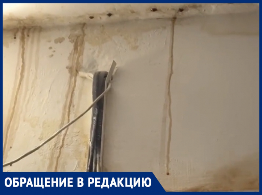«Течет с крыши жидкое голубиное дерьмо, обои позеленели»: люди в шоке от работы УК «Милана» в доме на Морской