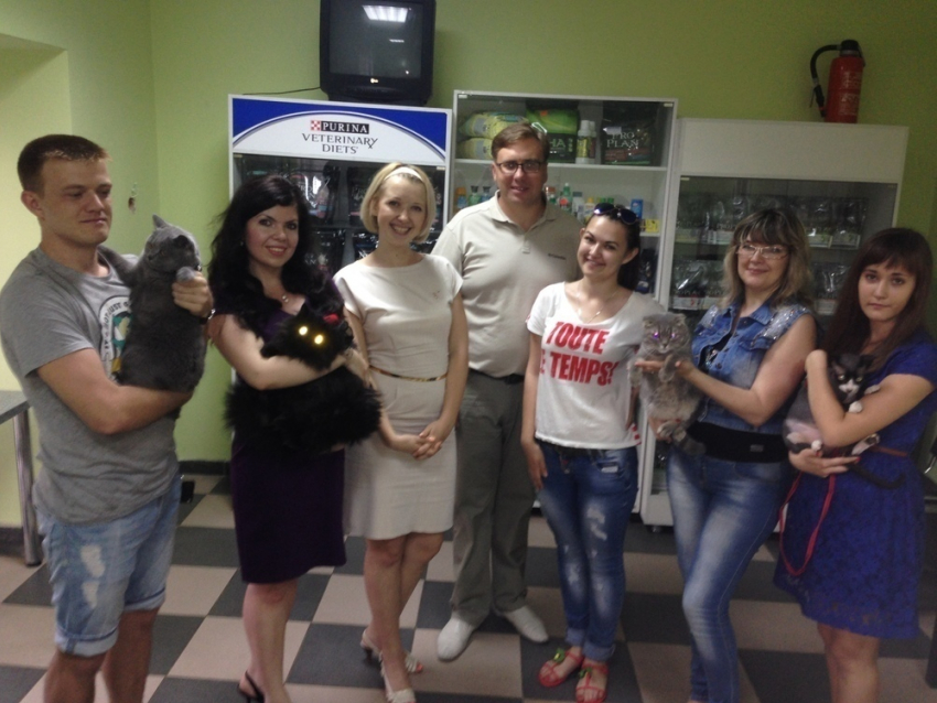 В Волгодонске наградили победителей конкурса «Самый красивый кот Волгодонска»