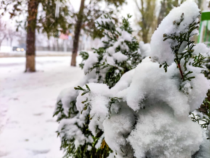 Волгодонск продолжит засыпать снегом 