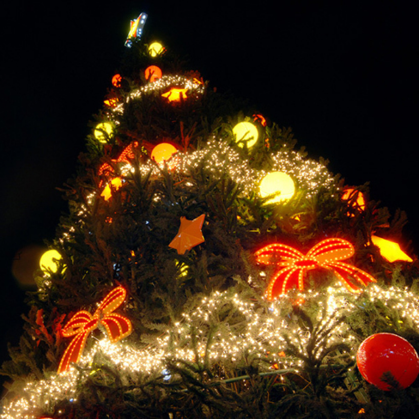 В Волгодонске объявляется конкурс на лучшую новогоднюю елку