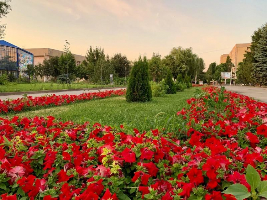 Последняя пятница июня в Волгодонске будет жаркой и ветреной