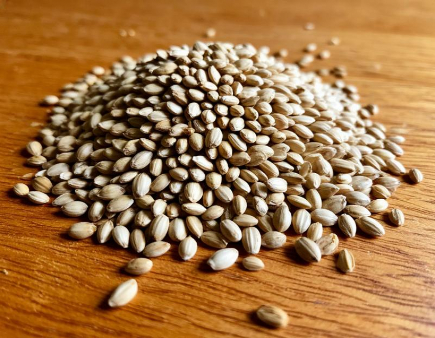 Эксперты рассказали, как правильно хранить семена для будущего урожая