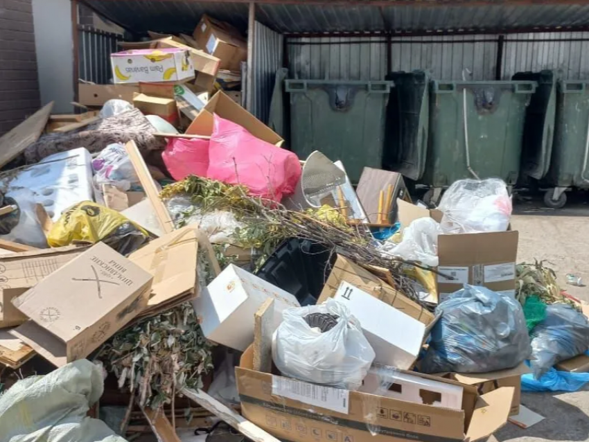 Волгодонск против мусора: власти объявляют войну незаконным свалкам