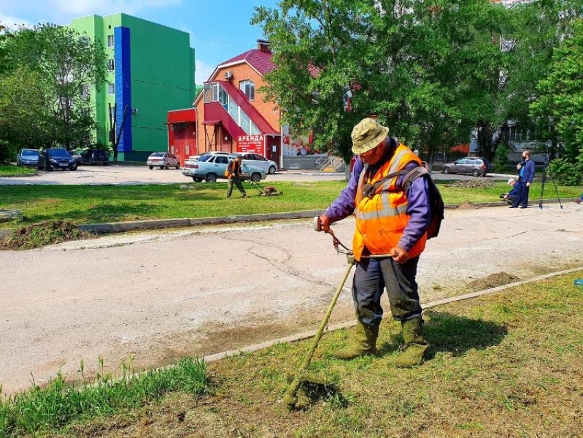 В Волгодонске скосили более 50 гектаров травы 