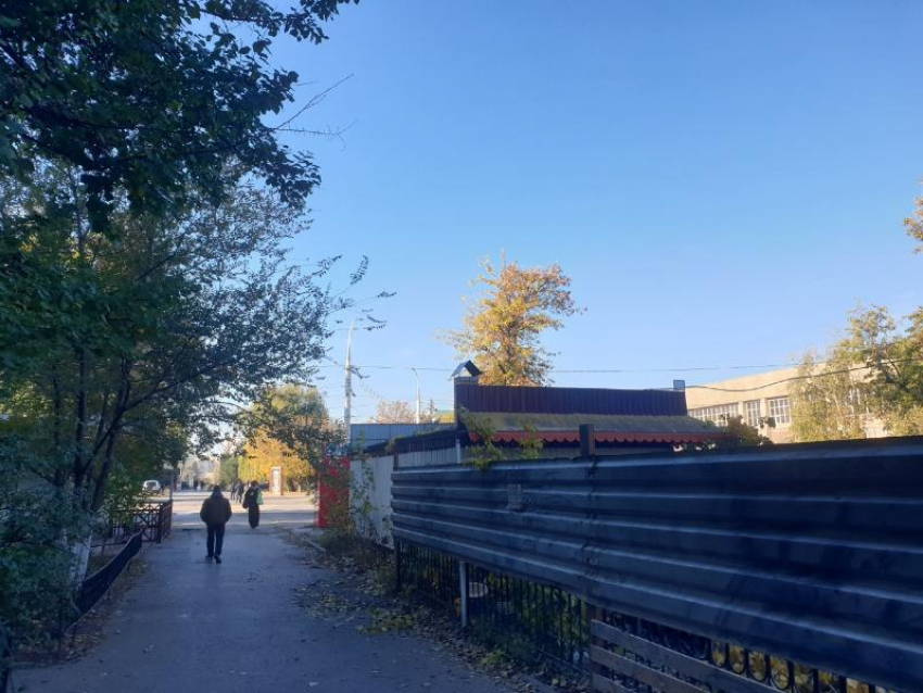 На стройплощадке застройщика из семьи известных в Волгодонске бизнесменов Акмалиевых срубили огромный тополь 