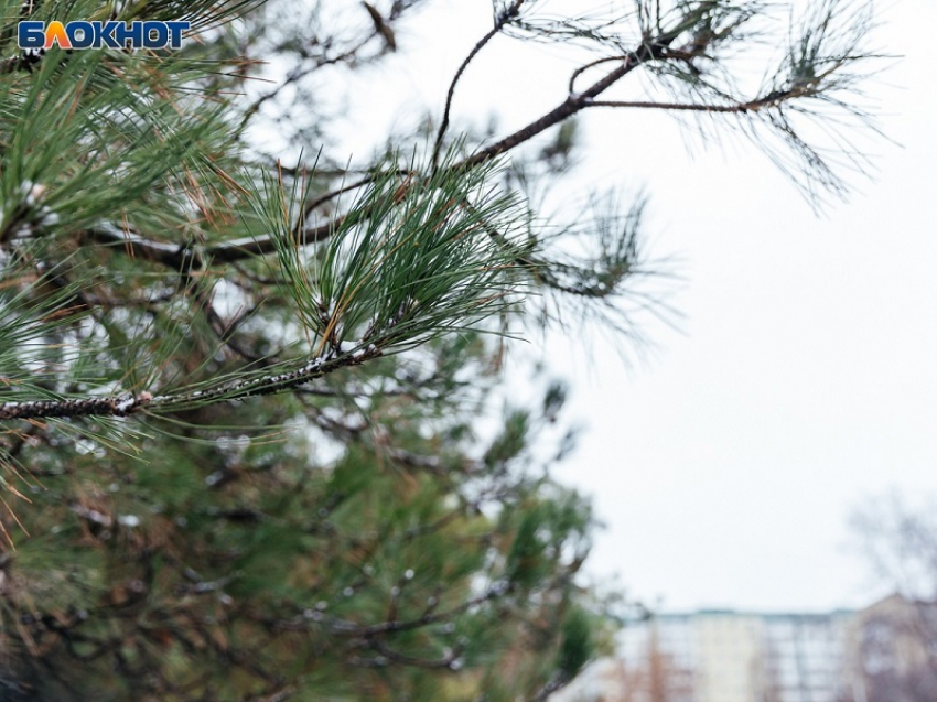 Дождь и похолодание ожидаются в Волгодонске в четверг