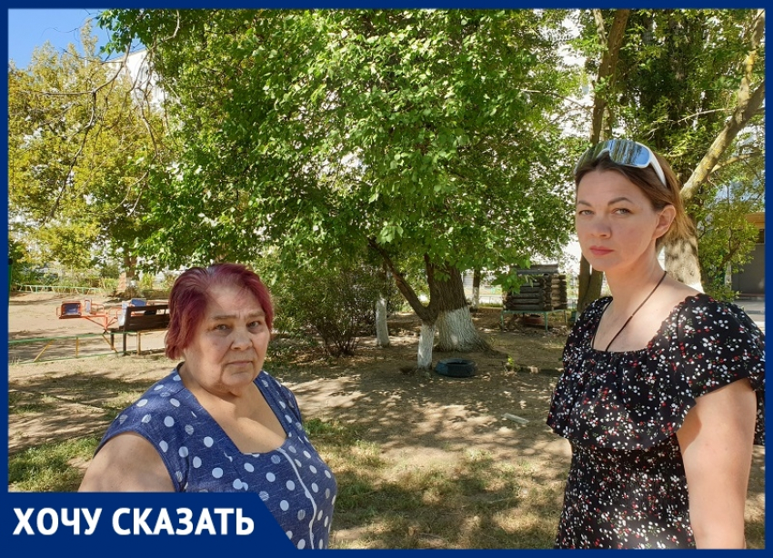 Дом, где упало дерево в Волгодонске, ранее оштрафовали за то, что люди сами удалили опасное дерево