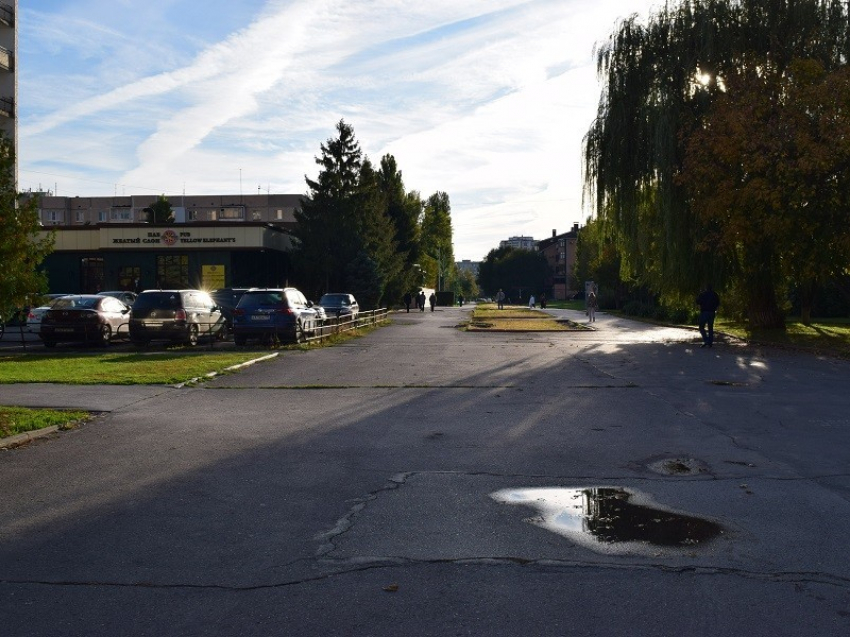 На бульваре Великой Победы в Волгодонске могут появиться шаровидные туи и газонная трава