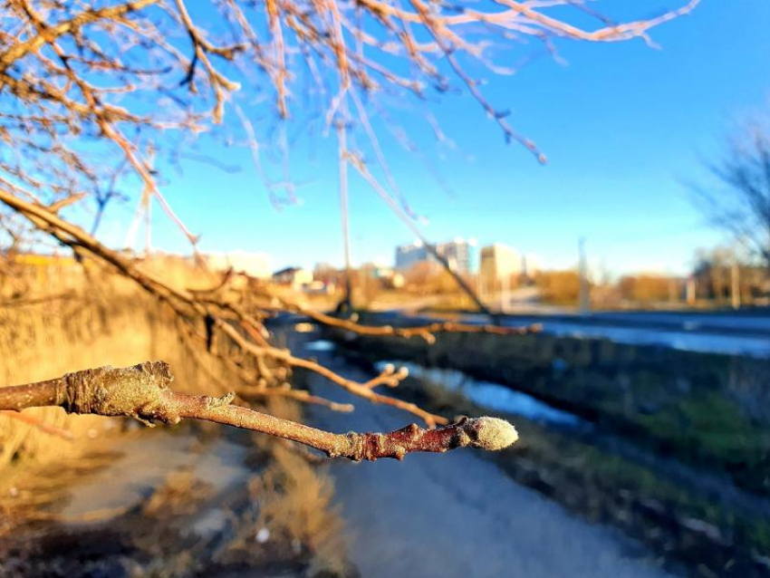 По-весеннему тепло будет сегодня в Волгодонске 