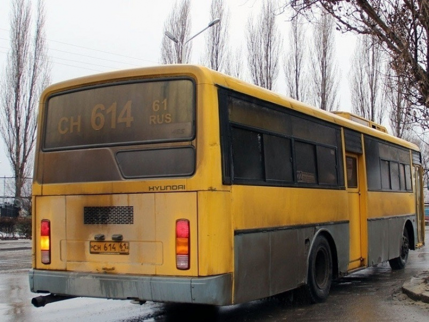 В Волгодонске полностью восстановят движение дачных автобусов