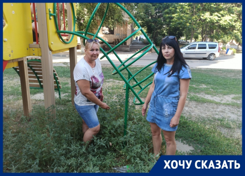 «Ждите, когда-нибудь покосят»: детская площадка в Волгодонске заросла «по пояс» травой 