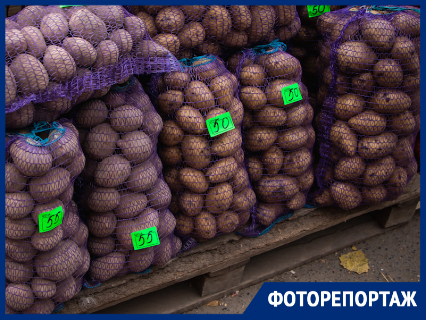 «Борщевой набор»: сколько стоят картофель, лук и морковь в Волгодонске