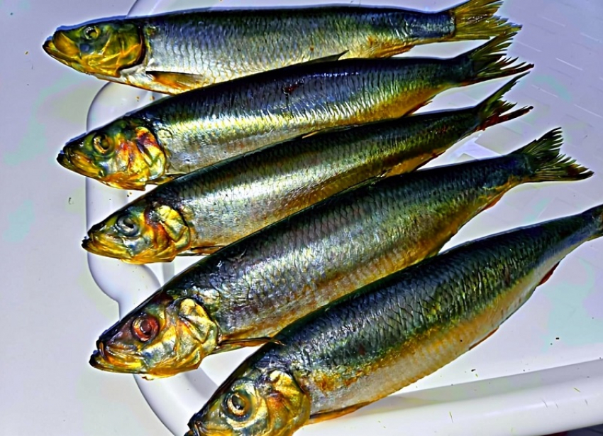 Товар дня: сельдь холодного копчения 550р/кг