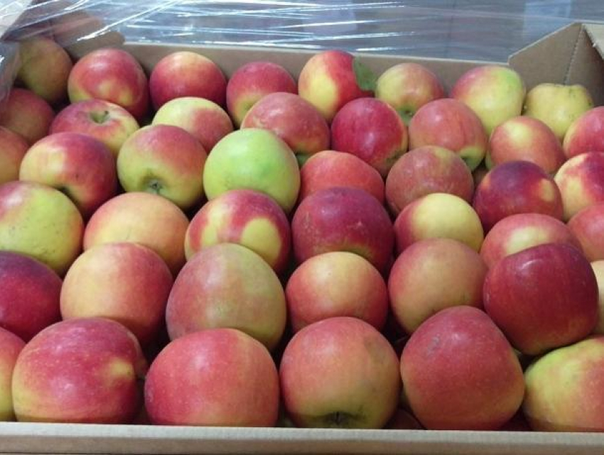 Лучший способ поднять иммунитет