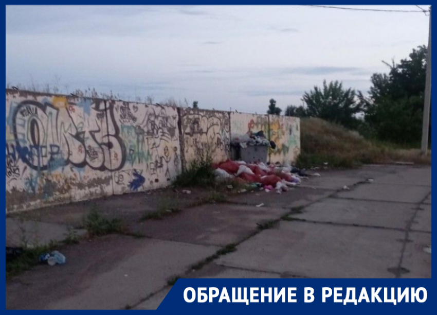 «Теперь тут уныние, собаки и антисанитария!»: волгодонец пожаловался на кучи мусора в районе «лисьей» набережной 