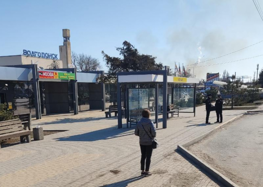 Стая чипированных собак во главе с одичавшей «овчаркой» напала на мужчину рядом с железнодорожным вокзалом Волгодонска