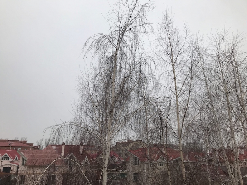 По ощущениям в два раза холоднее будет в Волгодонске в среду