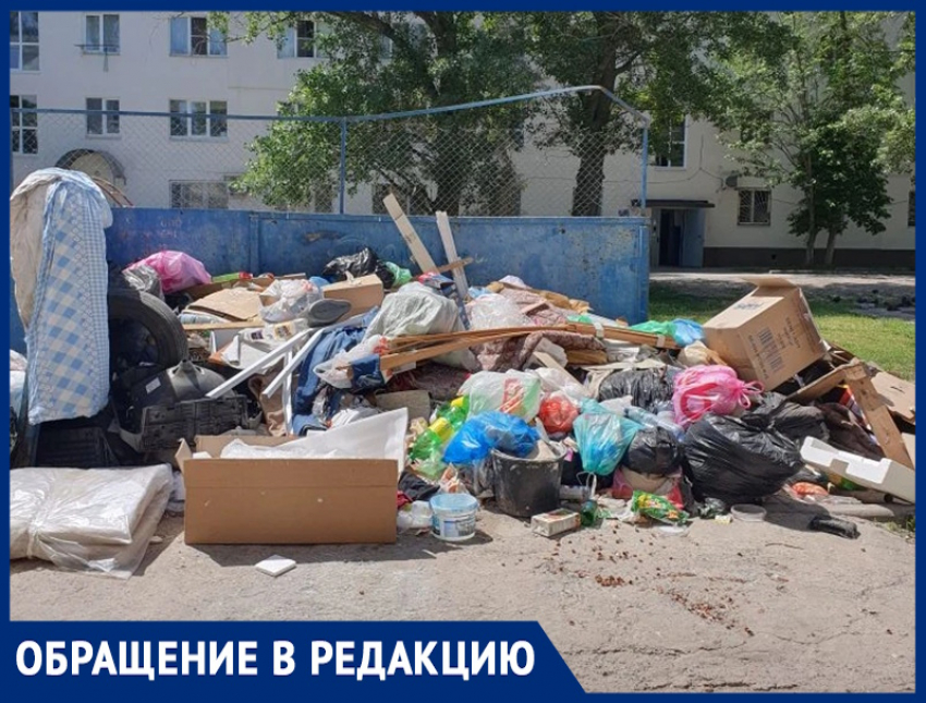 «Крысы, как коты гуляют по двору!»: громадная свалка образовалась из-за нерадивой управляющей компании на Морской