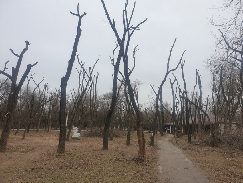 Сумрачно и слякотно: о погоде в Волгодонске на понедельник