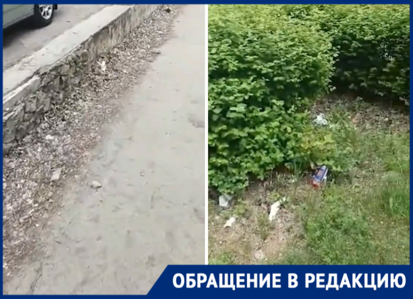 «Скоро будем ходить по мусору»: замусоренные пешеходные дорожки в центре города показал волгодонец 