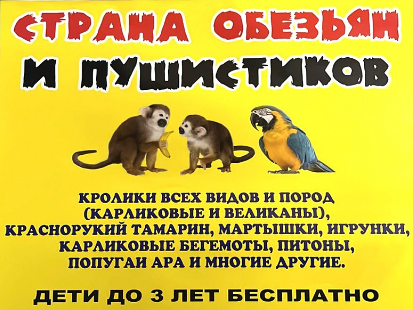 Экзотические обитатели тропиков прибудут в Волгодонск