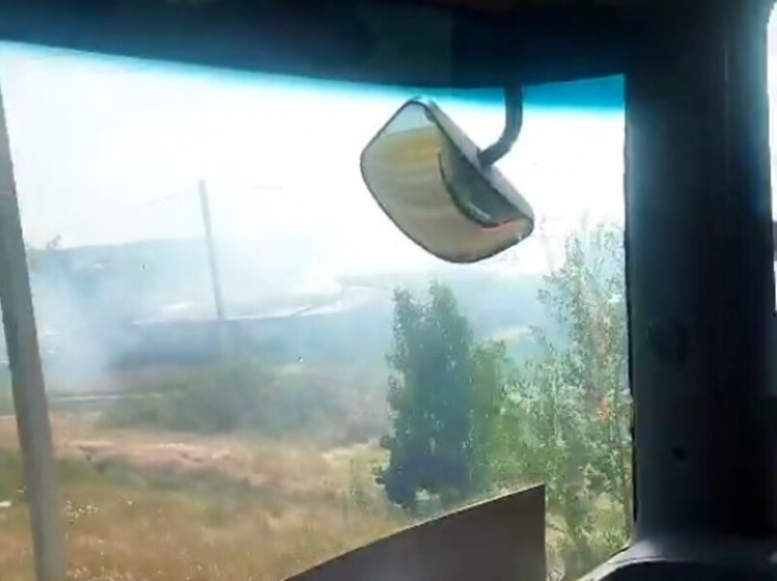 Животные кричали и пытались спастись: массовая гибель скота в страшном пожаре в Цимлянском районе Ростовской области