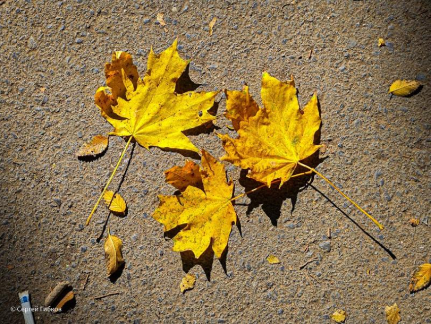 Сегодня в Волгодонске засияет солнце