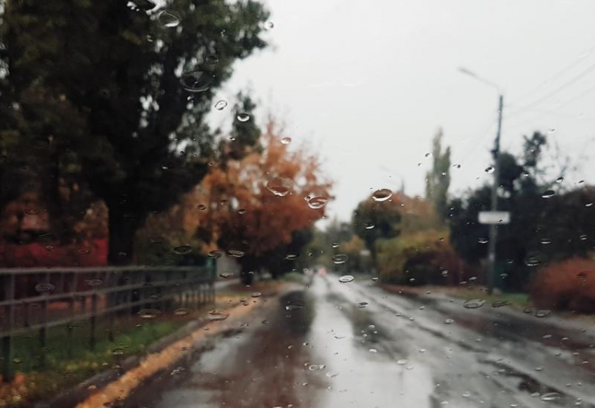 Пасмурно и дождливо будет сегодня в Волгодонске 