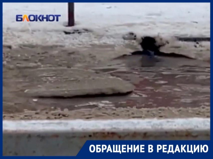 «Канализация течет прямо на дорогу и вонь стоит»: житель Волгодонска вынужден «переплывать» дорогу к детскому саду