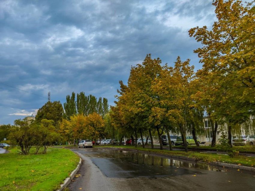 Слабый дождь и сильный ветер будут в Волгодонске в День тушеной свинины