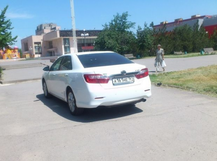 Волгодонские водители изобретают новые способы борьбы с пешеходами