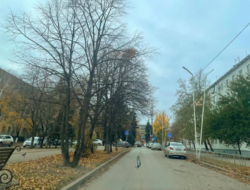 Второй день зимы в Волгодоснке обещает быть холодным и пасмурным