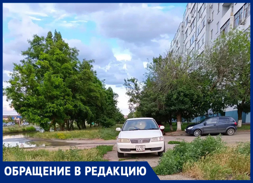 «Где хочу, там и ставлю?»: горожанка возмущена парковкой автомобилиста на пешеходной дорожке