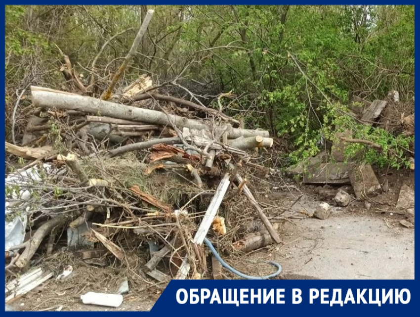 «Кто-то себе дачу вычистил, а другим загадил!»: садоводы возмущены отношением соседей