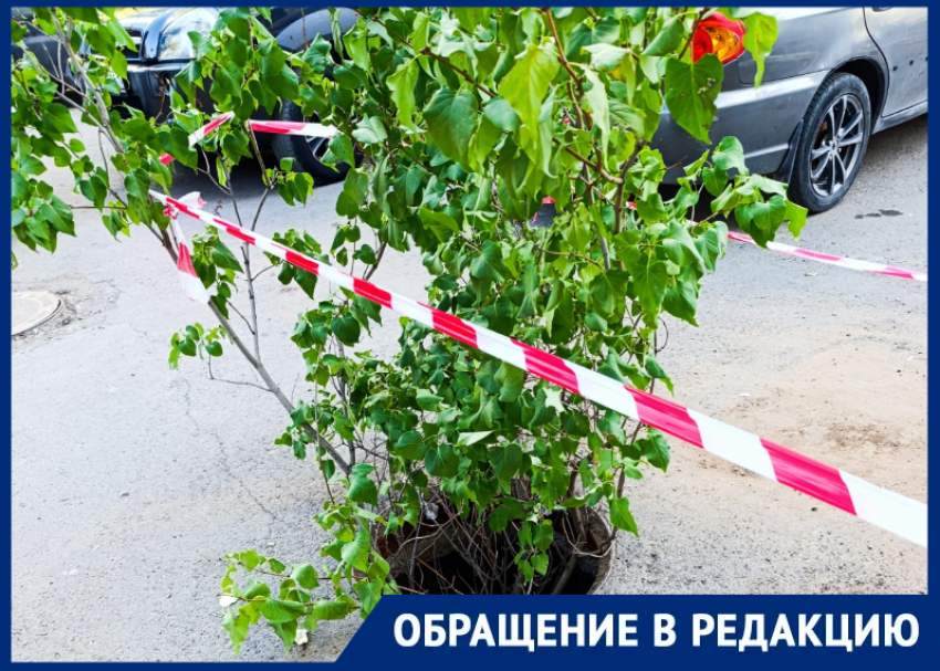 Открытый люк закрыт кустом: жители в шоке от «креативного» решения проблемы с канализацией 