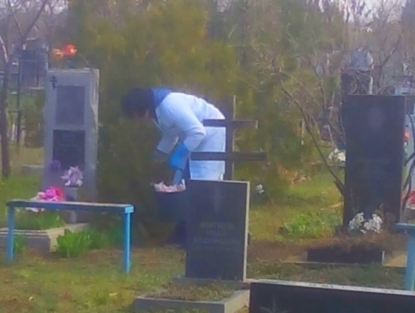 На кладбищах Волгодонска появились опасные токсичные ловушки