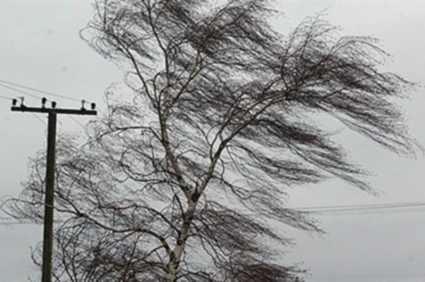 Сильный ветер может оставить Волгодонск без электричества