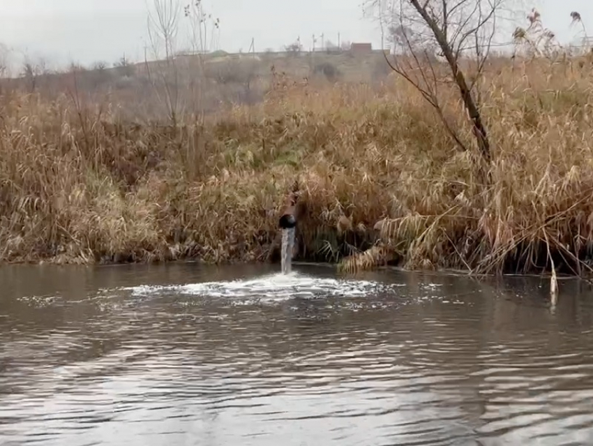 Ростовская область заберет себе трубу, сливающую в реку неочищенные фекалии жителей Цимлянска