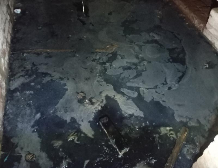 «Ищут управляющую компанию для «вонючего дома»: власти Цимлянска отреагировали на обращение жителей