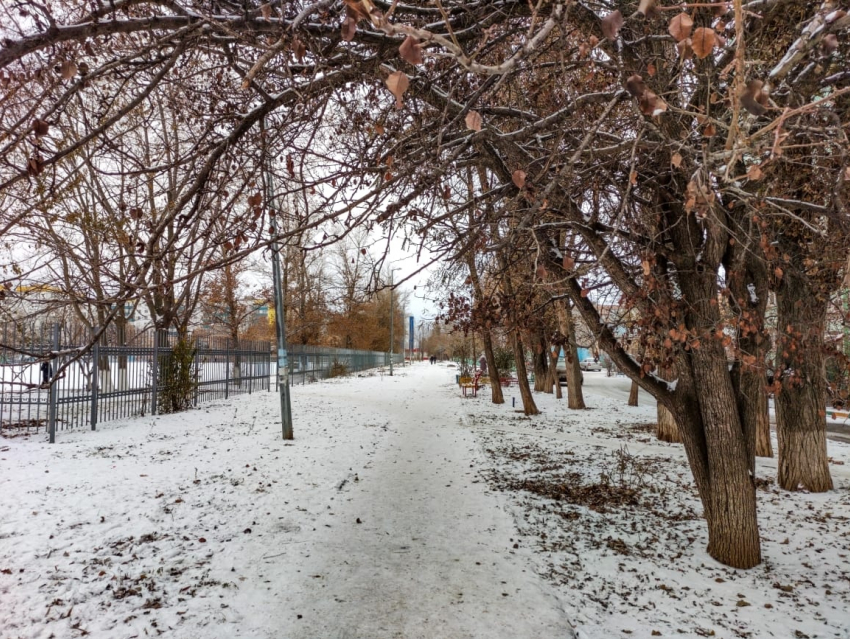 Сильный дождь со снегом обещают Волгодонску сегодня 