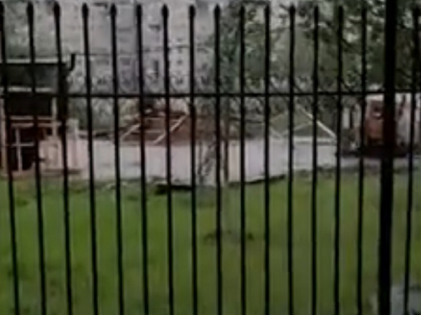 Ураган уронил дерево в «фекальный котлован» около школы №22